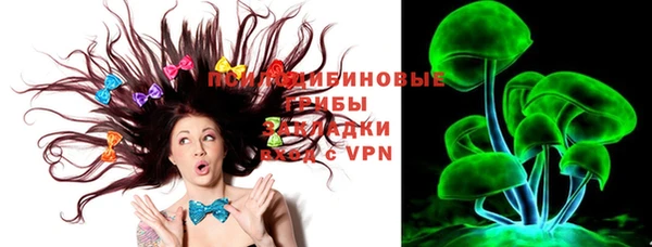трава Елизово
