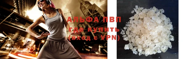 скорость Ельня
