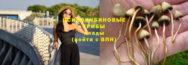 первитин Елабуга
