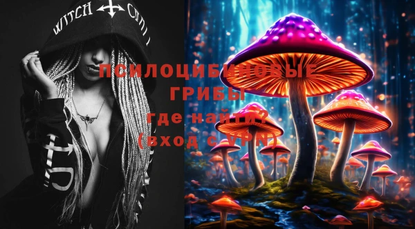 скорость Ельня