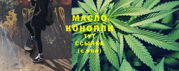 скорость Ельня