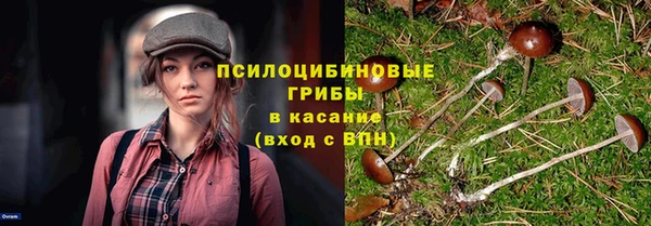 трава Елизово