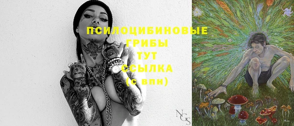 трава Елизово