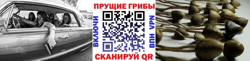 Псилоцибиновые грибы мухоморы  Тюкалинск 